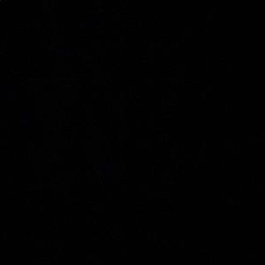 Meet your Posher, Darinna